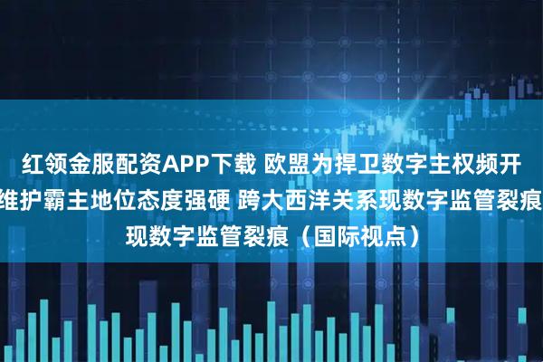 红领金服配资APP下载 欧盟为捍卫数字主权频开罚单 美国为维护霸主地位态度强硬 跨大西洋关系现数字监管裂痕（国际视点）