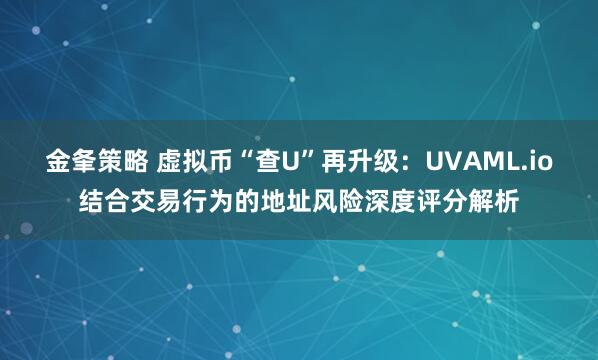 金夆策略 虚拟币“查U”再升级：UVAML.io结合交易行为的地址风险深度评分解析